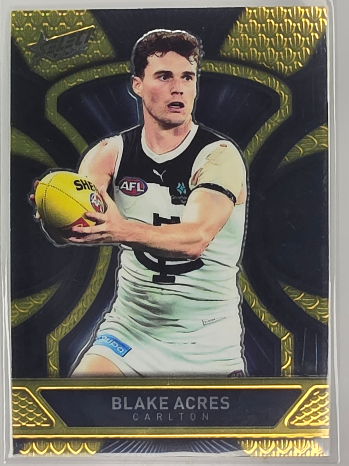 AFL Footy Stars 2025 Luminous Dragon Scales #LD25 B. Acres Carlton #380/799