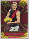 AFL Footy Stars 2025 Luminous Dragon Scales #LD60 M. Redman Essendon #582/799