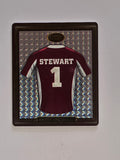 NRL 2009 Footy Frames Gold Foil | #021 Brett Stewart | Manly Warringah Sea Eagles