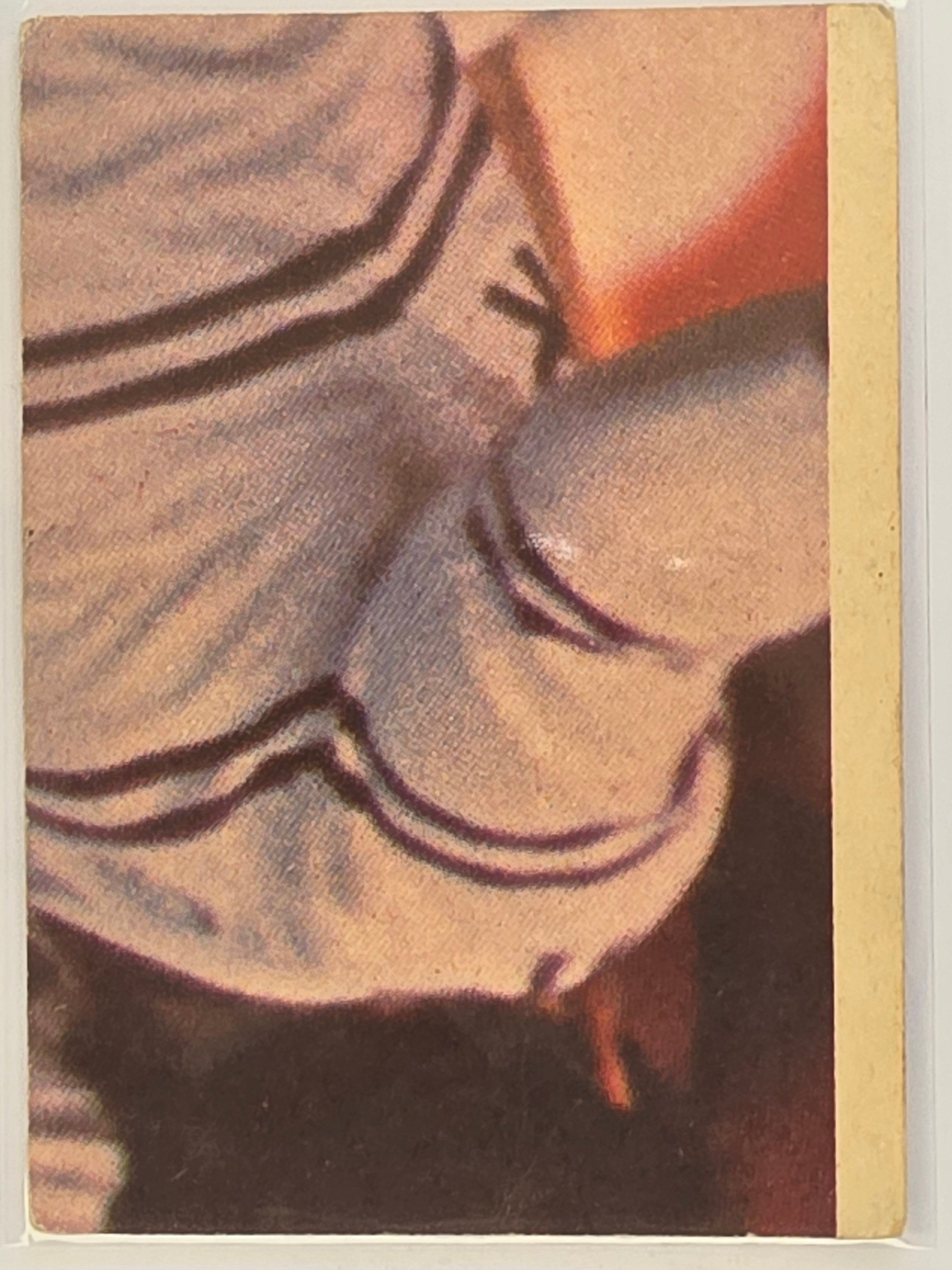 NRL 1977 Scanlens Rugby League #13 Shayne Day Western Suburbs Magpies