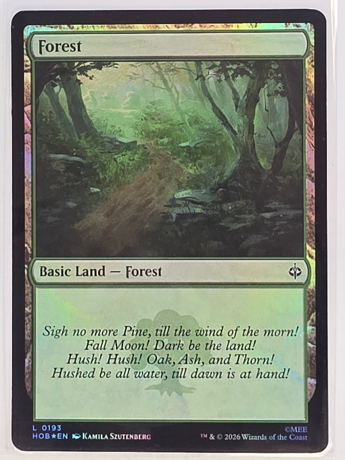 MTG - The Hobbit FOIL #193 Forest Common