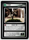 Star Trek The Next Generation CCG | Q Continuum | Drought Tree | Common