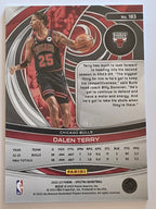 2022-23 Panini Spectra | Rookie RC | #183 | Dalen Terry | Chicago Bulls