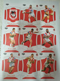 2023 NRL Elite - Base Team Set 9 Cards - Dragons
