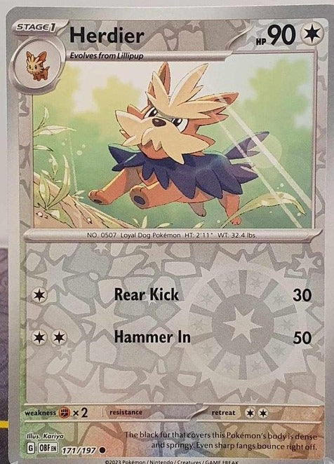 Pokemon TCG -Obsidian Flames -#171 -Herdier -Common -Reverse Holo