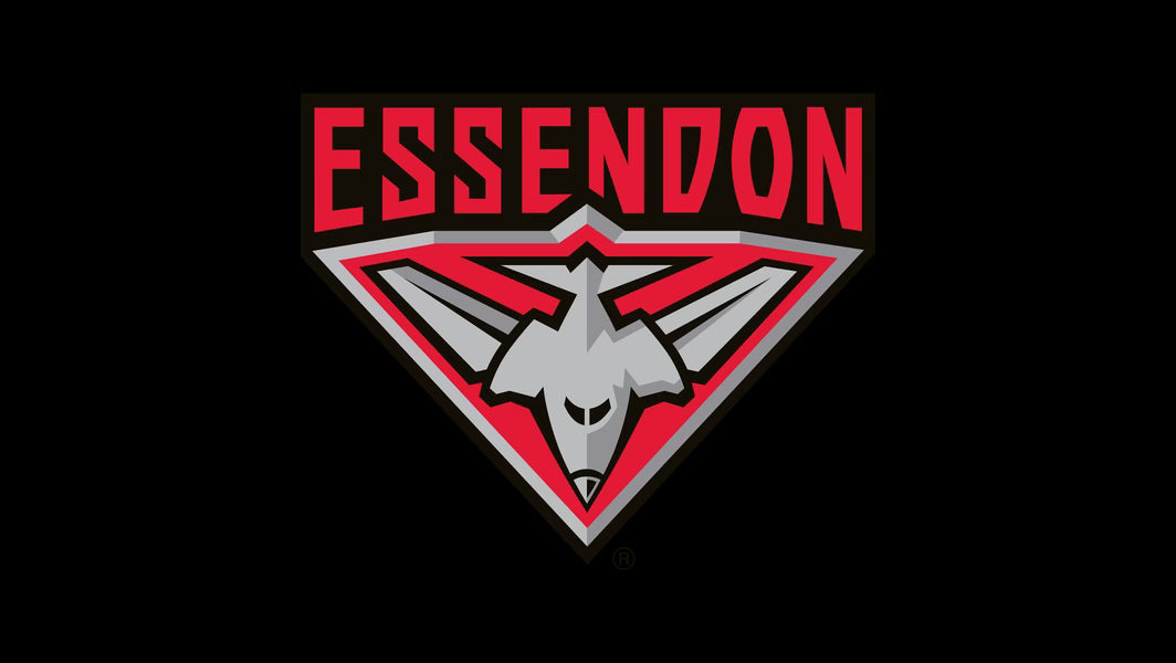 2023 AFL Footy Stars - Common Team Set - Essendon Bombers - 13 Cards