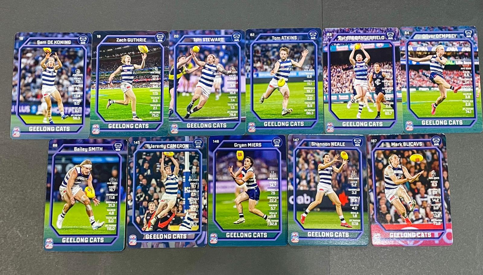 Teamcoach 2026 Base Team Set - Geelong Cats