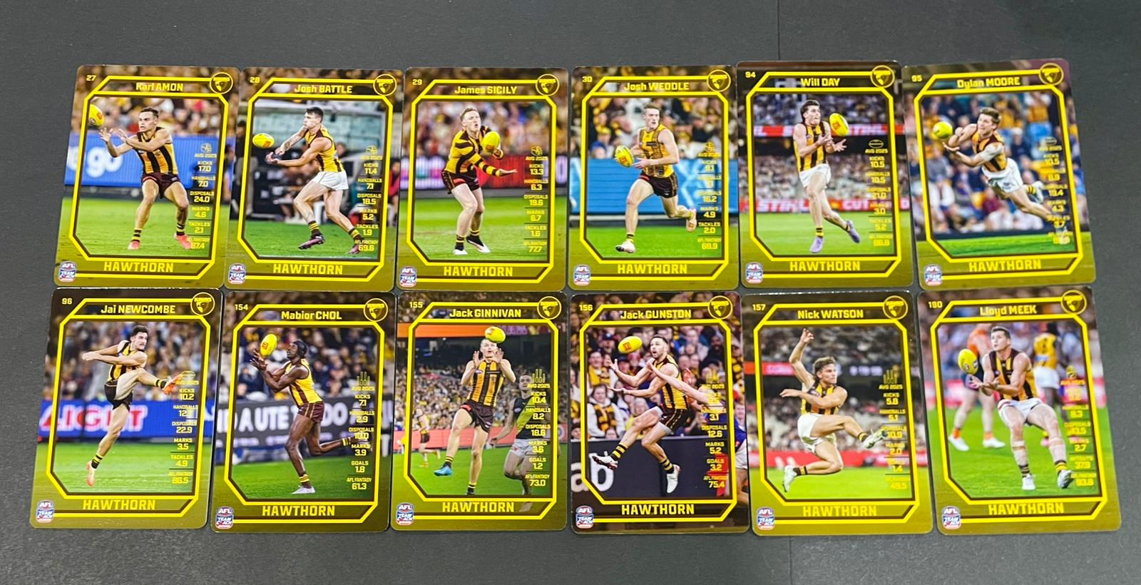 Teamcoach 2026 Base Team Set - Hawthorn Hawks
