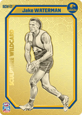 Teamcoach 2026 Sculpture Wildcards Gold SCW-17 Jake Waterman - West Coast Eagles