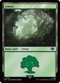 MTG - Tales of Middle Earth #270 Forest Common