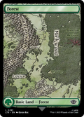 MTG - Tales of Middle Earth #281 Forest Common