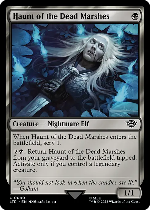 MTG - Tales of Middle Earth #90 Haunt of the Dead Marshes Common