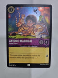 Ursula's Return - Coldfoil - Antonio Madrigal - Animal Expert - 35/204 - Uncommon