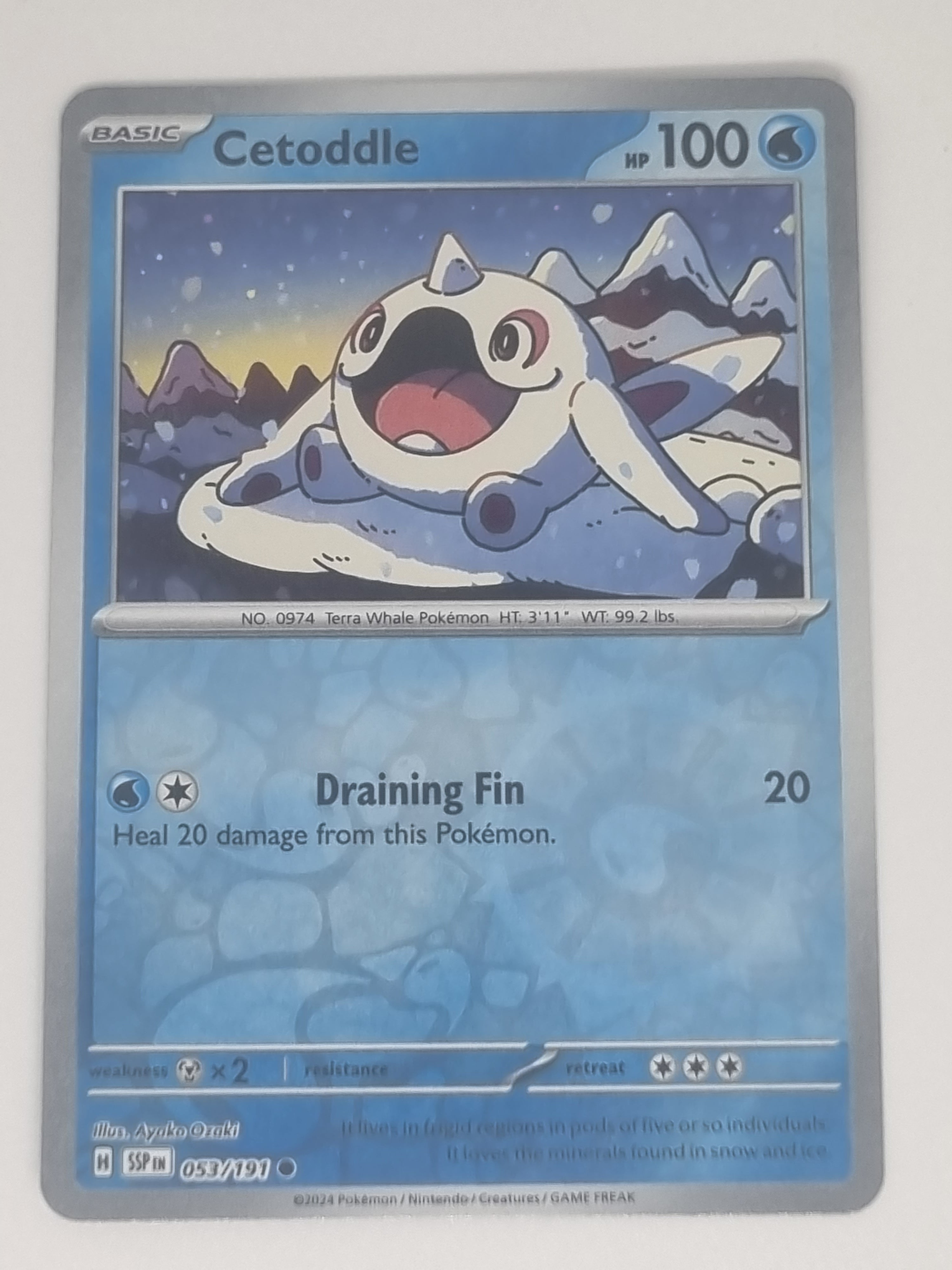 Pokemon TCG - Surging Sparks - #053/191 - Reverse Holo - Cetoddle - Common