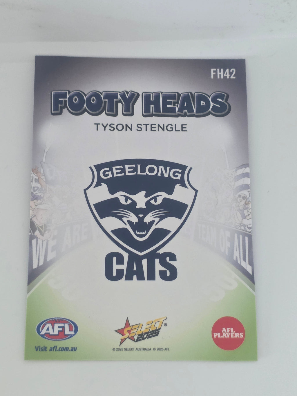 AFL Footy Stars 2025 | Footy Heads | #FH42 | T. Stengle | Geelong