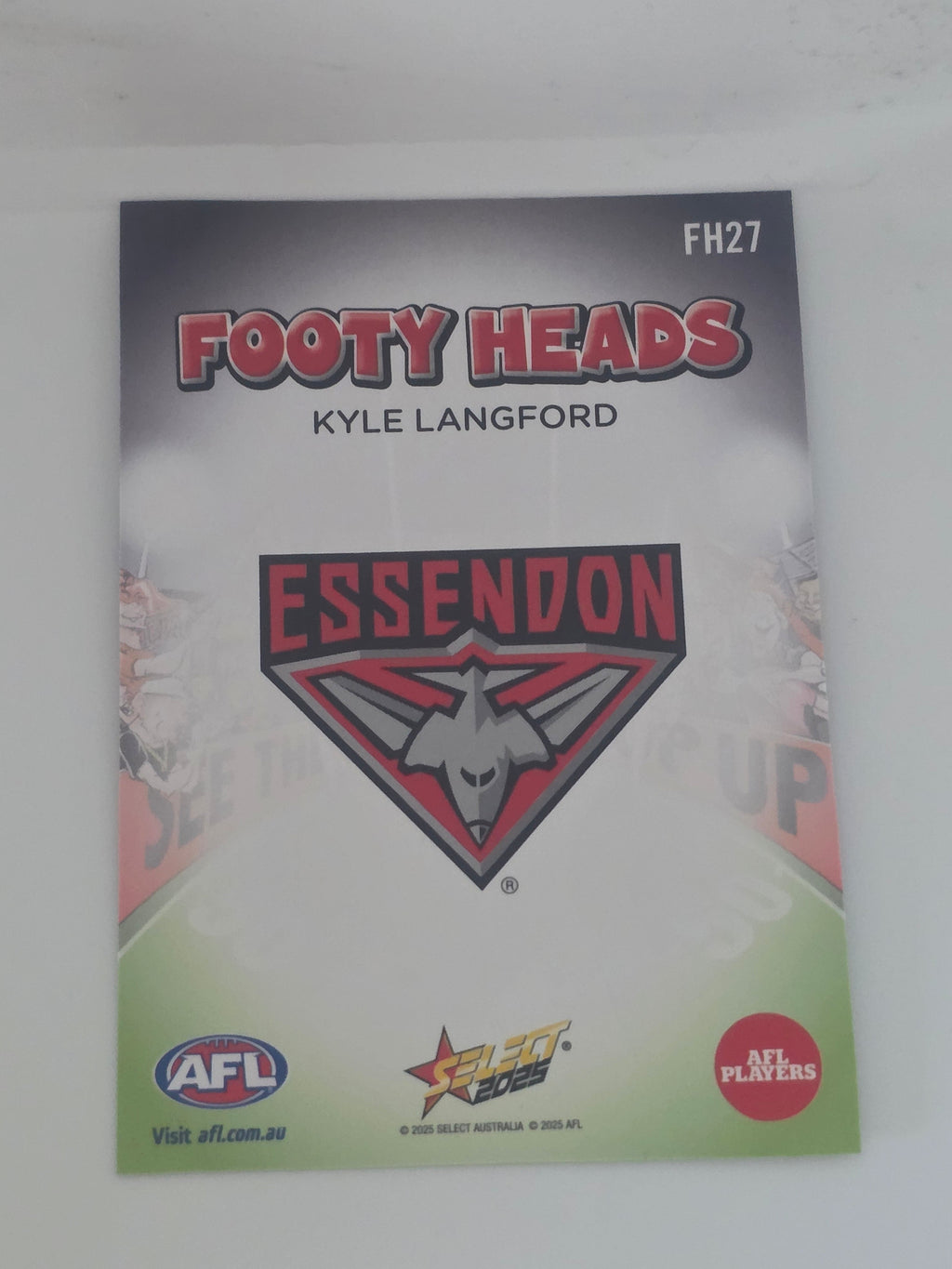 AFL Footy Stars 2025 | Footy Heads | #FH27 | K. Langford | Essendon