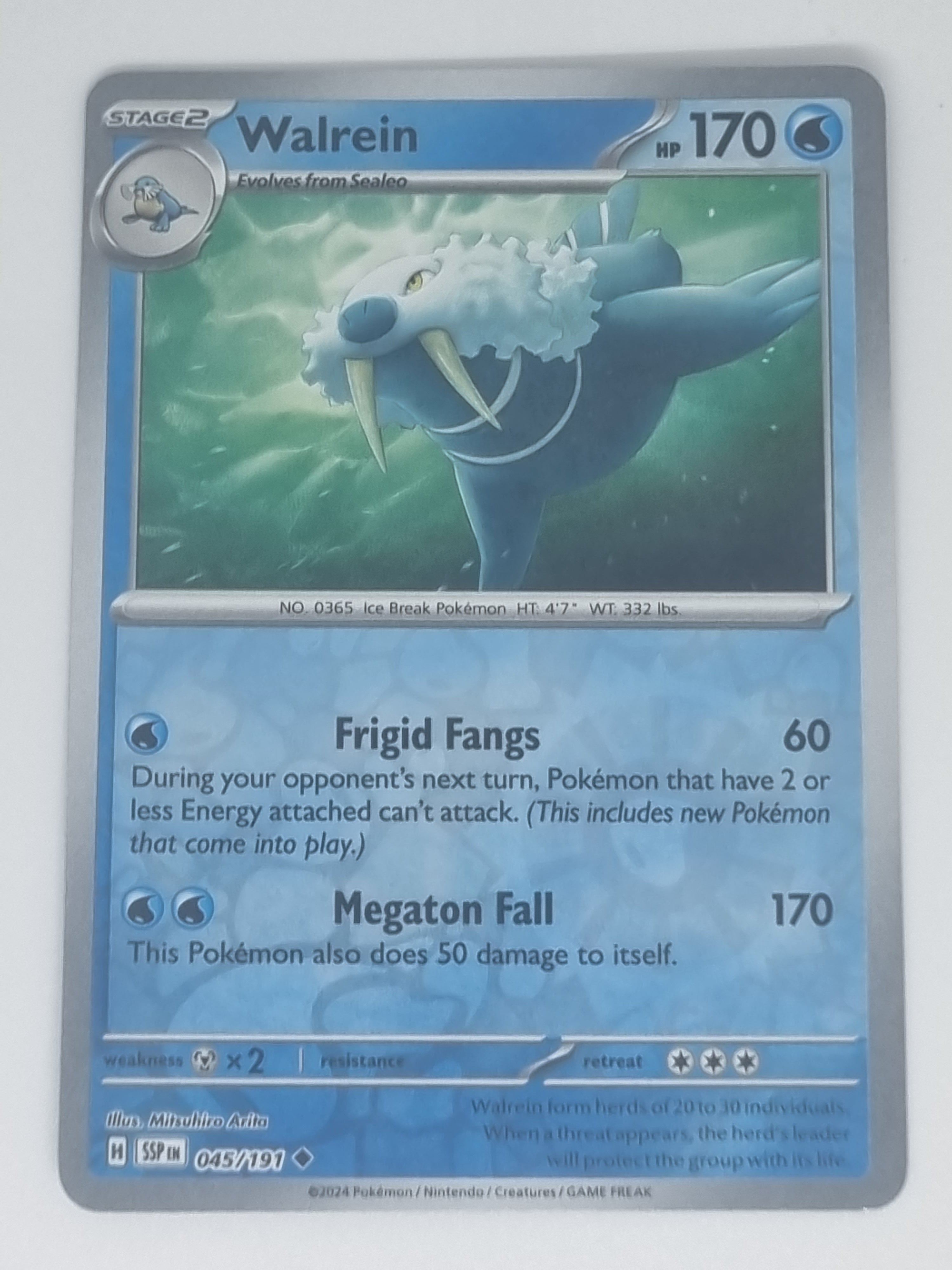Pokemon TCG - Surging Sparks - #045/191 - Reverse Holo - Walrein - Uncommon
