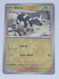 Pokemon TCG - Surging Sparks - #062/191 - Reverse Holo - Blitzle - Common