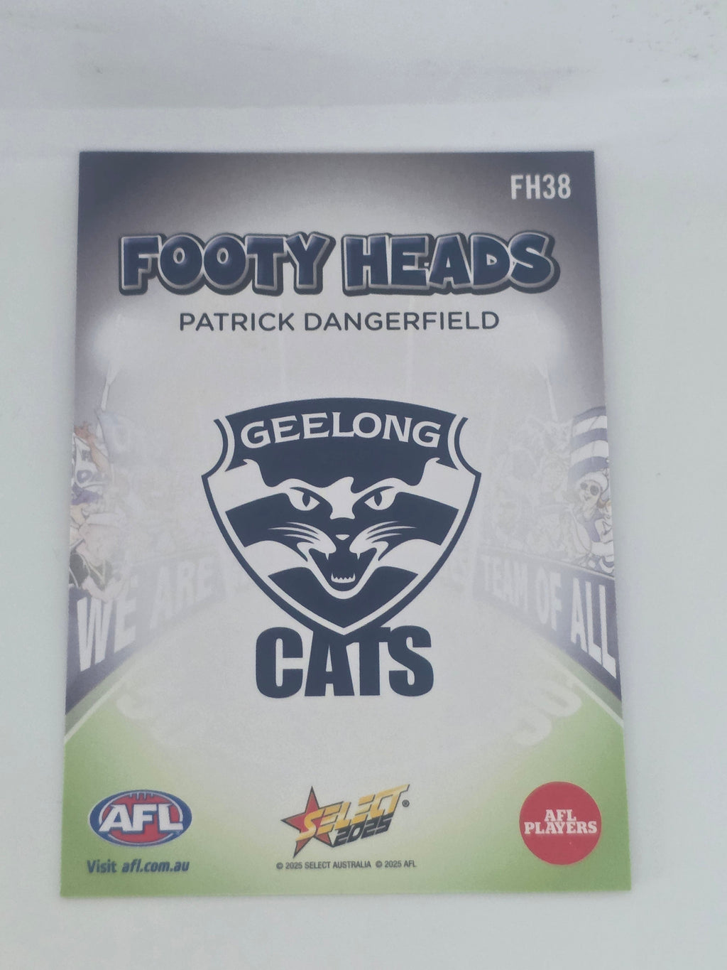 AFL Footy Stars 2025 | Footy Heads | #FH38 | P. Dangerfield | Geelong
